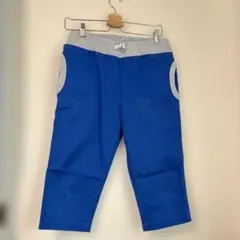 チャンピオンワークパンツ 青のサムネイル