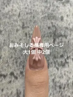 おみそしる 様 専用ページ