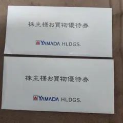 ヤマダ電機　お買い物優待券　¥10,000分