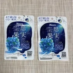 Kanro 空想果実　イトピスの実　2袋セットのサムネイル