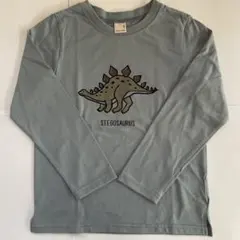 petit main プティマイン　ステゴサウルス 長袖　カットソー　130