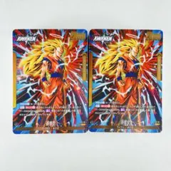 DBFW FS11 進化の境地 2個セット