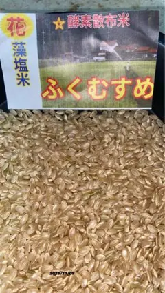 か*ん様 ☆花藻塩米ふくむすめミルキークイーンの改良品種１.7キロ以上　玄米精米 ☆花藻塩米ふくむすめミルキークイーンの改良品種1.7キロ以上 玄米