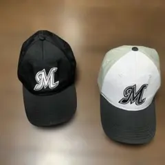 Item thumbnail for item 2fecdf43-1c02-438a-98c2-1f9f591412d5