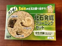 【未使用】化石発掘クリーニングセット