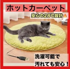 【赤字価格】カーペット ペット用 ホットカーペット電気毛布 犬 猫 電熱ヒーター