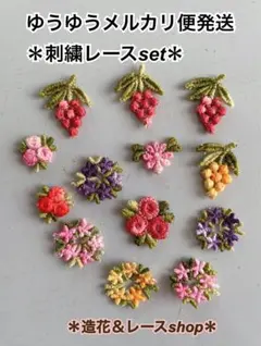 レア☆刺繍レースセット(G)