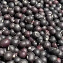 222様 リクエスト 3点 まとめ商品