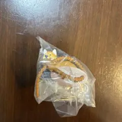 ふんばり〜ぬ 柴犬