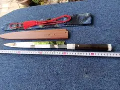 Item thumbnail for item d888db46-d5e8-4ea3-b5be-3ddac09ba07e