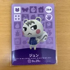 2026年最新】amiiboカードジュンの人気アイテム - メルカリ