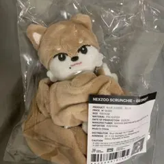 NEXZ ゴンスキー　ソゴンシュシュ　NEXZOO ソウルコン　onebeat