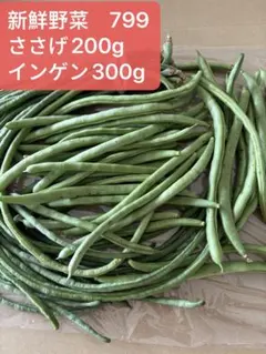 長野県産 信州 ささげインゲン豇豆角 1kg - メルカリ