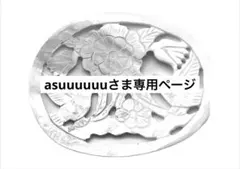 asuuuuuuさま専用ページ
