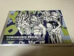 秋田書店　弱虫ペダルポストカード　手嶋・真波