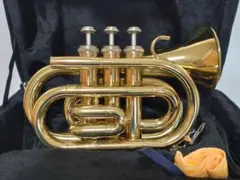 2026年最新】ポケットトランペットの人気アイテム - メルカリ