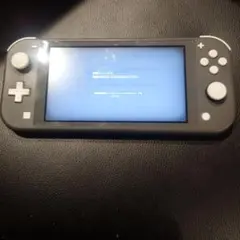 Nintendo Switch Lite グレー 2021年製