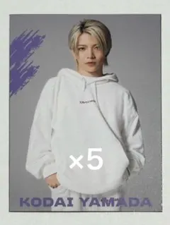 LIL LEAGUE 山田晃大 カード 5枚セット