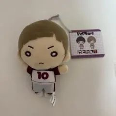 ハイキュー　白布賢二郎　にとたん　ぬいぐるみ