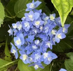 cherry様 リクエスト 2点 まとめ商品