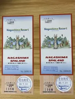 ナガシマスパーランド チケット 2枚のサムネイル