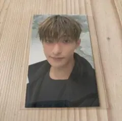 SEVENTEEN DXS Serenade ドギョム ユニバ 特典 トレカ