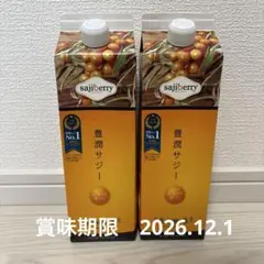 sajiberry 豊潤サジー 1000mL 2本セット