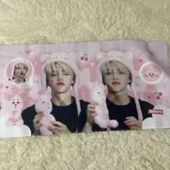 seventeen スンチョル　エスクプス　スローガン