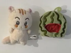 2026年最新】NCT マーク ぬいぐるみの人気アイテム - メルカリ