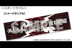 THE RAMPAGEグッズ、バッグ、タオル、パーカーまとめ売り THE RAMPAGEグッズ、バッグ、タオル、パーカーまとめ売り THE