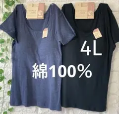 綿100％ カップ付き 半袖(フレンチ袖) 2枚 4L 大きいサイズ ネイビー