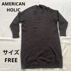 AMERICAM HOLIC ダークグレー Vネック 膝丈ニットフリーサイズ