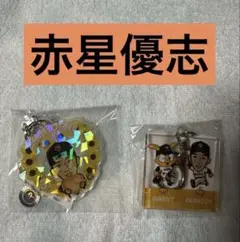 読売ジャイアンツガチャ 父の日ver. バッジ、アクキーセット 41中川 中川皓太ジャイアンツガチャ父の日ver.