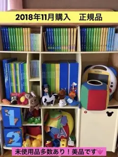 【2018年正規品】ディズニーワールドファミリー　DWE