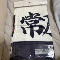 侍ジャパン 常廣羽也斗 プレーヤータオルのサムネイル