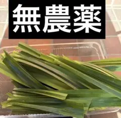 無農薬 パンダンリーフ• ニオイタコノキ •ใบเตย•LÁDỨA 100g - メルカリ