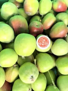 青森県産　摘果りんご　約10キロのサムネイル