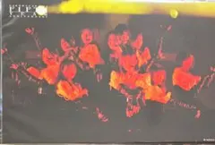 櫻坂46 谷口愛季 国立 5th アニラ 円盤 特典 ポストカード