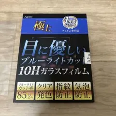 Switch2 Agrado 保護フィルム ガラスフィルム 10H 周辺機器