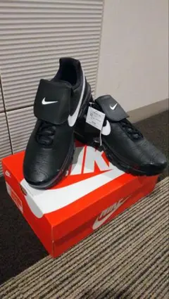 NIKE W AIR MAX PLUS Tiempo 