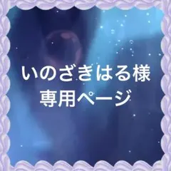 いのざきはる様 リクエスト 2点 まとめ商品