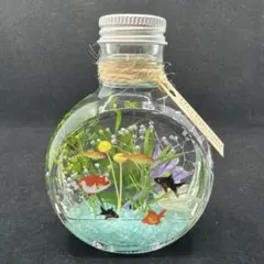 ちいさな金魚鉢＊〜金魚のハーバリウムのサムネイル