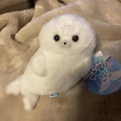 ほわほわアザラシちゃん くつろぎ