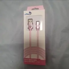 Switch専用 USB Type-C充電ケーブル 2m