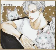 手描きイラスト オリジナル 縛兎 創作男子 ミニ色紙 - メルカリ