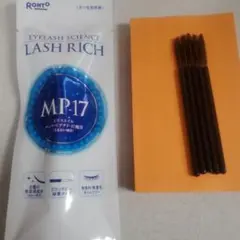 新品未使用ロート製薬ラッシュリッチ　LASHRICH正規品おまけ付きのサムネイル