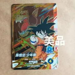 pur 孫悟空少年期　sdv3-pur1 ダイバーズ