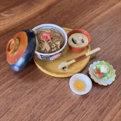 牛丼サラダ味噌汁セット　ミニチュア　リーメント