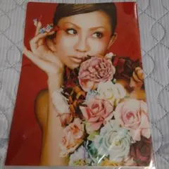 BUT 愛証 KODA KUMI クリアファイル
