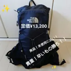 【美品】 ザ ノースフェイス　マーティンウィング 10 　Lサイズ